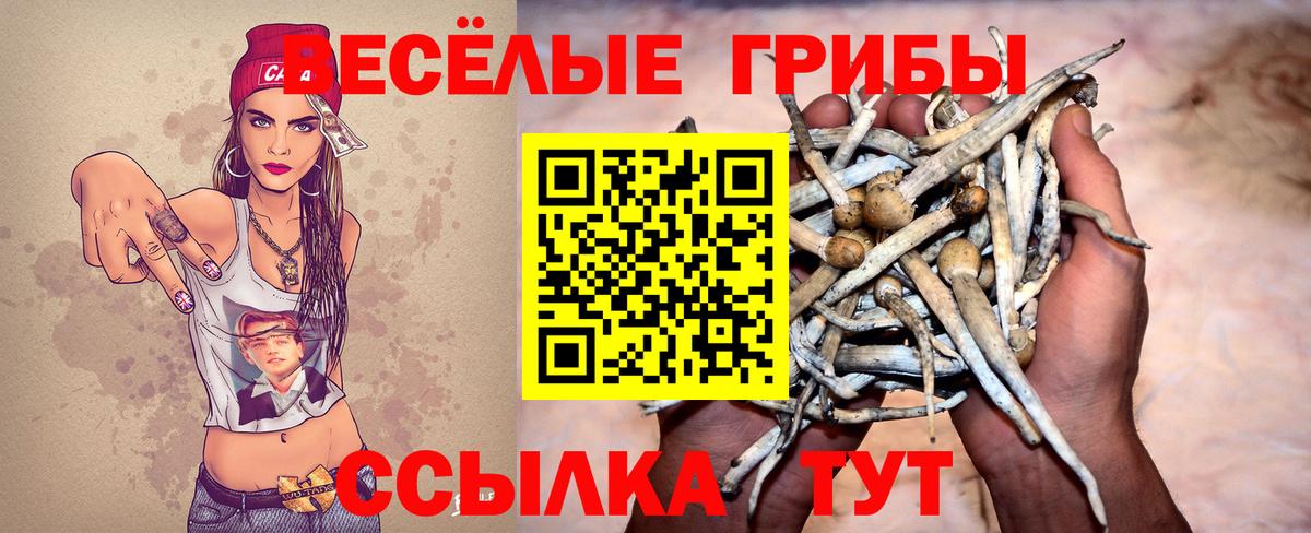 Галлюциногенные грибы GOLDEN TEACHER Муром